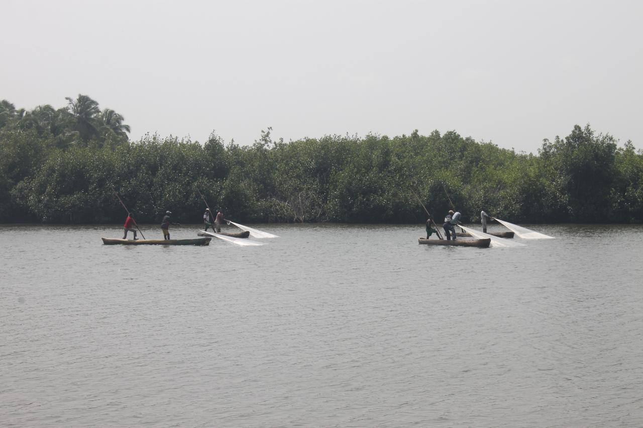 Natura Luxury Lodge Ouidah Exterior photo